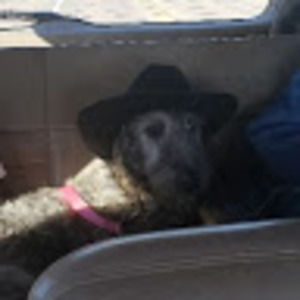 Meet your Posher, Jamie